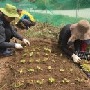 모심-2019 이미지