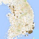 브라운 도트 이미지