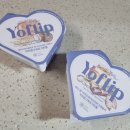 요플립(YOFLIP)