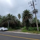 상가리농장 이미지