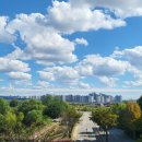 (주)롯데프리미엄아울렛파주점 이미지