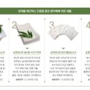 에코베베