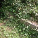 불모산동 이미지