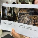 금수산뷔페 | 국내 여행 - 단양 고수동굴, 구경시장, 닭갈비 부페, 제천 의림지(당일치기 단체 여행🚗)