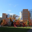 프랭크 게리 Frank Gehry
