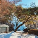 내부리_마을진입로0029 | 경기도 파주 가볼만한곳 | 눈내리는 초리골, 초호펜션
