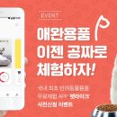 수라이크 이미지