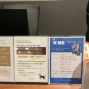 소노펫 보딩 | 소노펫 비발디파크 이용 후기 (스위트 펫클럽 객실, 코인, 보딩 서비스 등)