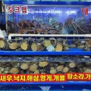 탐나전복