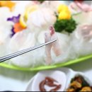 태백수족관 이미지