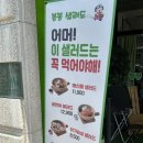 붕붕 샐러드