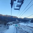 진고개목장 | 평창 대관령 여행 (발왕산 케이블카 천년주목숲길, 유명식당, 감자옹심이)