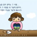창조악기