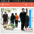 파트라슈 이미지