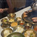 금성한우 이미지