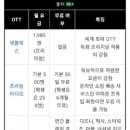 미주디앤씨 네이버블로그