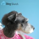 도그스케치 이미지