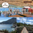 산양일주로 | 통영 욕지도 배편 차량 선적 꿀팁: 중화항 출발(신분증 준비물) &amp; 제2출렁다리 코스 추천