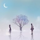 꽃아줌마 이미지