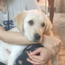 이 가축병원 이미지