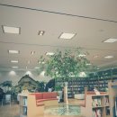 북카페 청마루 이미지