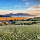 비자나무아래집 이미지