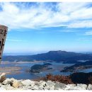 바다아리 이미지