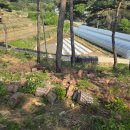 수지면 마륜마을 이미지