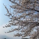 황새울교 앞 이미지