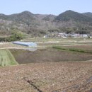 탑골농장 이미지