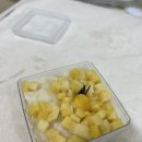 까까 주시개 네이버블로그