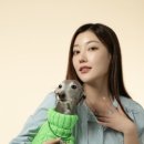 라이브펫 이미지