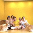 에이프로 | [시바난다요가 공식제휴센터 에이프로요가스쿨] Home Wellness Yoga Retreat 후기