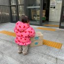 밀크티아이 정회원 등록 후 언박싱