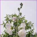 음지마을 이미지