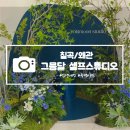 그믐달셀프스튜디오왜관점