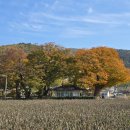 하사보건진료소 이미지