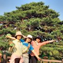 수지면 양촌마을 이미지