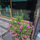 스위티모텔 이미지