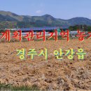 충열농장 이미지