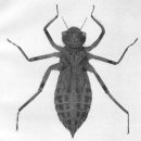 강촌에살고싶네 이미지