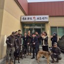 육군 군견훈련소 이미지