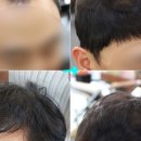이젤리아 이미지