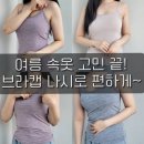 행복브리스건강기능성속옷 - 평택시 현신로 103 | 여름 속옷 유목민정착 브라탑나시! 크리비아 내장캡 여성 캡나시 티 홈웨어로 입어본 2종 후기