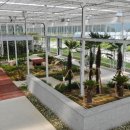 치유농업관 이미지