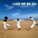 나트랑 여행 꿀팁 공유 1탄 (맛집, 숙소, 체험 등)