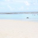 라구나호텔 이미지