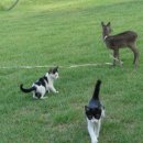 잔디 농장 이미지