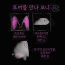 예프 이미지