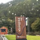 개삼터 | J들의 &#34;무계획&#34; P여행, 국립금산자연휴양림 103호 개삼터